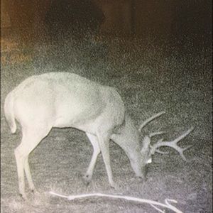 Meet your Posher, Allen